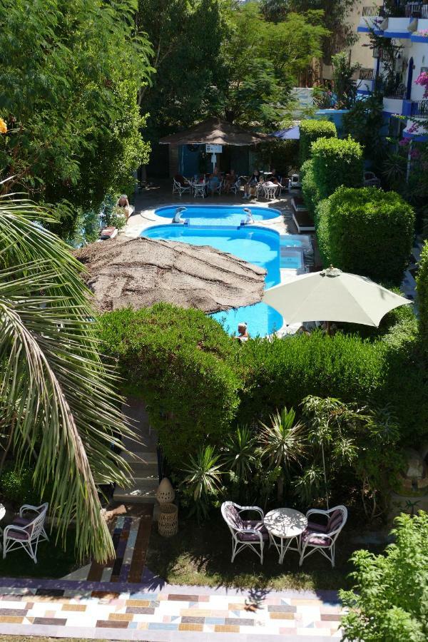 El Gezira Garden Hotel 룩소르 외부 사진